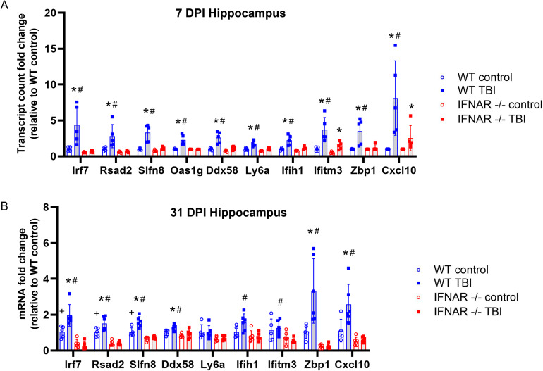 Selective neuroimmune modulation by type I interferon drives neuropathology and neurologic dysfunction following traumatic brain injury.