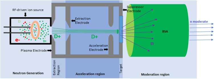 Current status and development of neutron radiation for biophysical applications in Colombia.