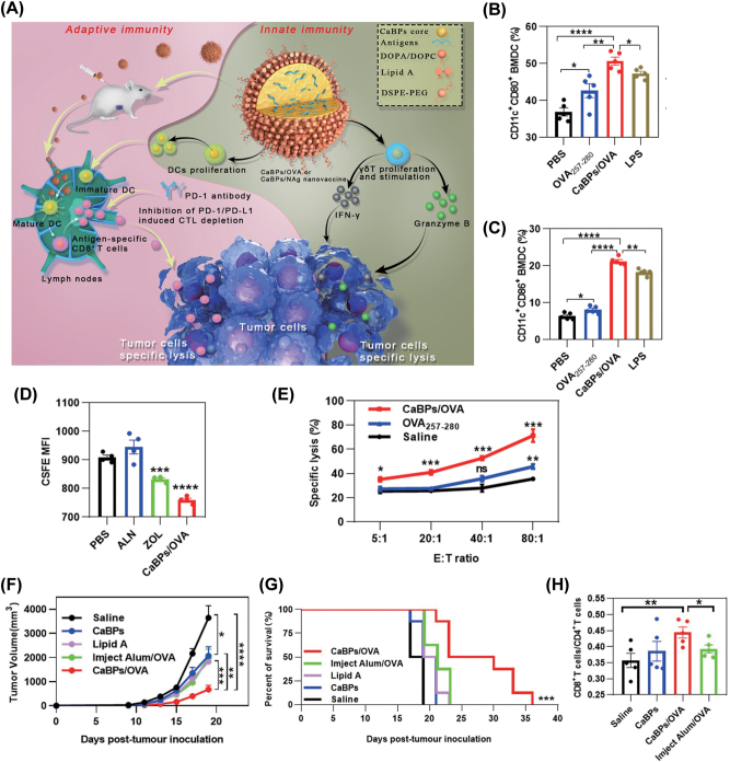 Lipid-based nanoparticles for cancer immunotherapy.