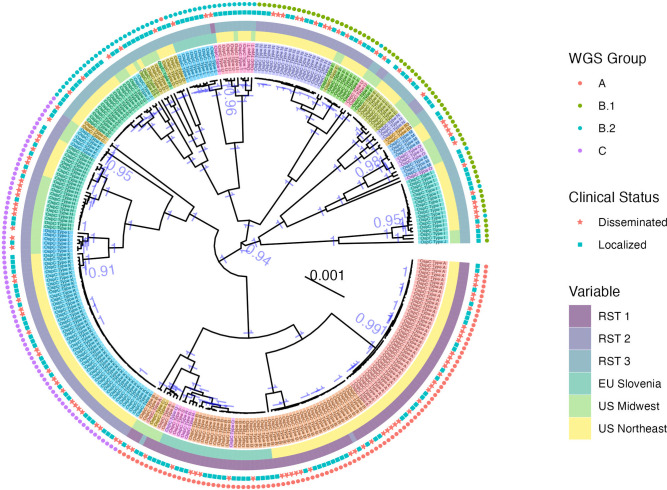 Whole genome sequencing of human Borrelia burgdorferi isolates reveals linked blocks of accessory genome elements located on plasmids and associated with human dissemination.