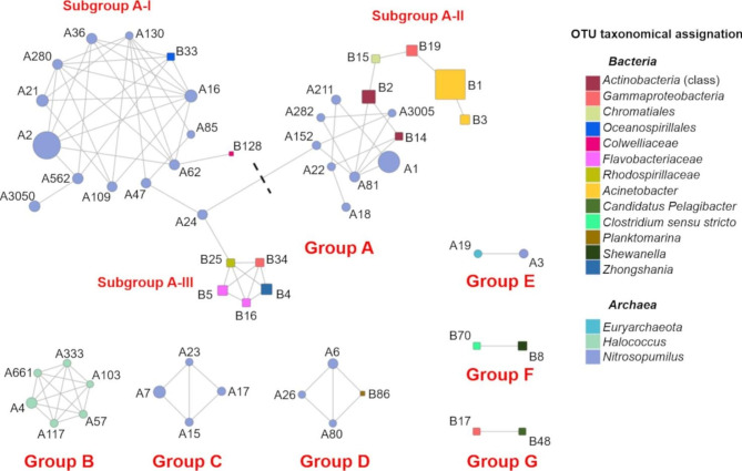 Insights into the prokaryotic communities of the abyssal-hadal benthic-boundary layer of the Kuril Kamchatka Trench.