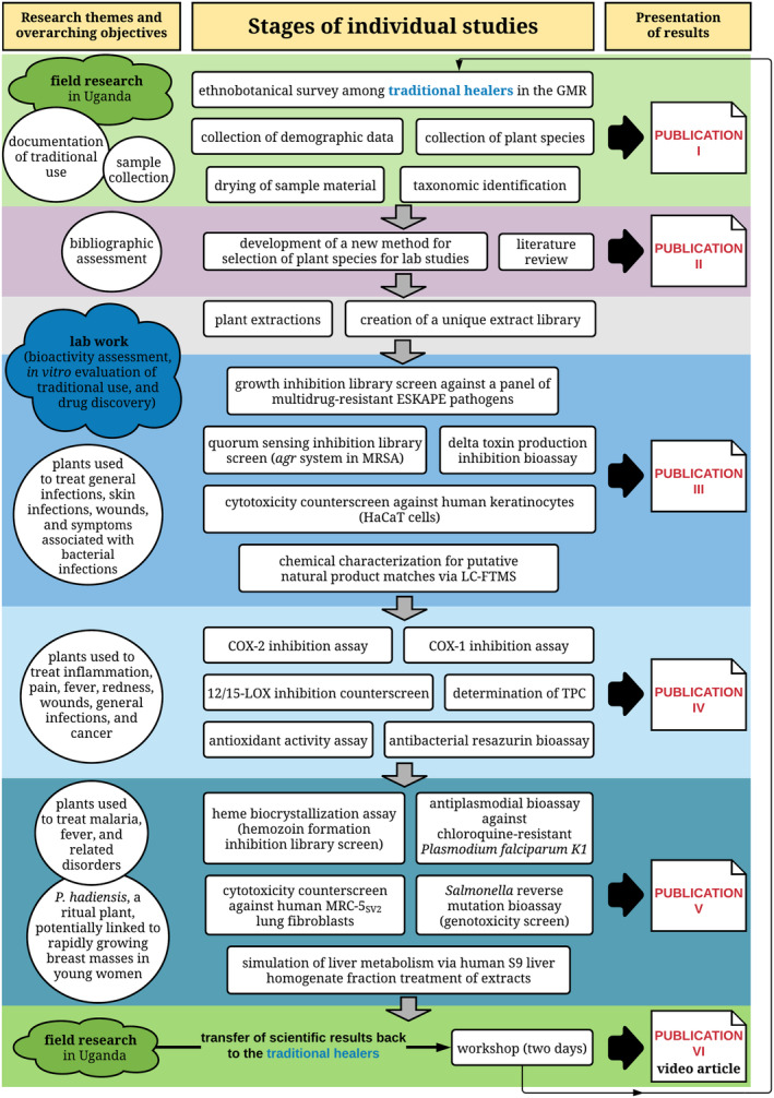 How to approach a study in ethnopharmacology? Providing an example of the different research stages for newcomers to the field today.