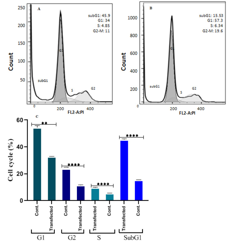 <i>GLUL</i> gene knockdown and restricted glucose level show synergistic inhibitory effect on the luminal subtype breast cancer MCF7 cells' proliferation and metastasis.