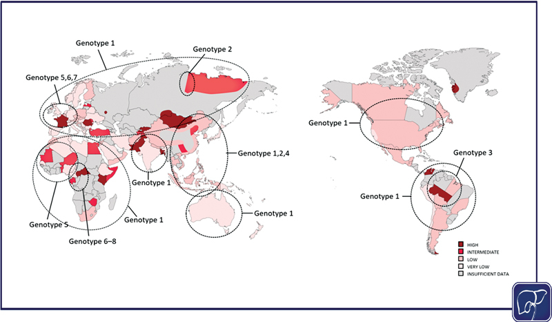 Hepatitis Delta Infection: A Clinical Review.