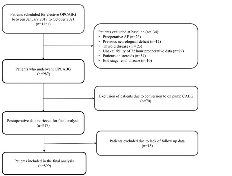 Atrial Fibrillation and Perioperative Inflammation (FIBRILLAMMED Study): A Retrospective Analysis of the Predictive Role of Preoperative Albumin-Adjusted Platelet-Leukocytic Indices in OPCABG.