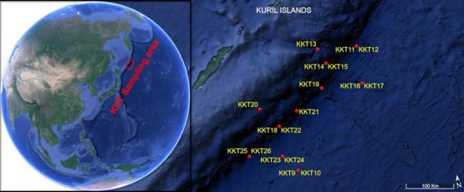 Insights into the prokaryotic communities of the abyssal-hadal benthic-boundary layer of the Kuril Kamchatka Trench.