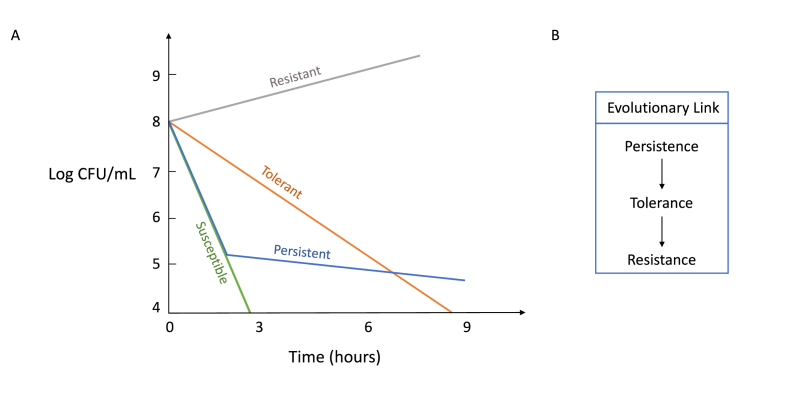 Combatting persister cells: The daunting task in post-antibiotics era