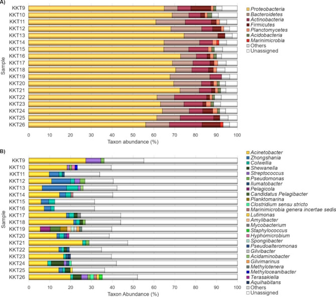 Insights into the prokaryotic communities of the abyssal-hadal benthic-boundary layer of the Kuril Kamchatka Trench.