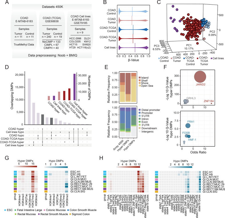 CRISPR/dCAS9-mediated DNA demethylation screen identifies functional epigenetic determinants of colorectal cancer.