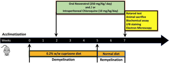 Neurobehavioral, biochemical and histological assessment of the effects of resveratrol on cuprizone-induced demyelination in mice: role of autophagy modulation.