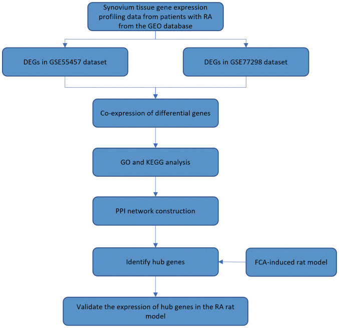 Integrated bioinformatics analysis and experimental validation reveals hub genes of rheumatoid arthritis.