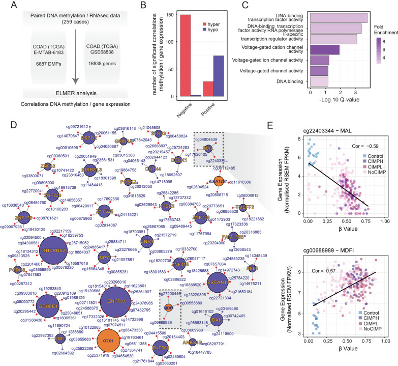 CRISPR/dCAS9-mediated DNA demethylation screen identifies functional epigenetic determinants of colorectal cancer.