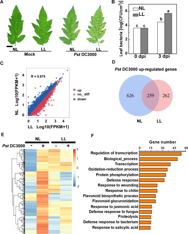 Transcriptomic and genetic approaches reveal that low-light-induced disease susceptibility is related to cellular oxidative stress in tomato.