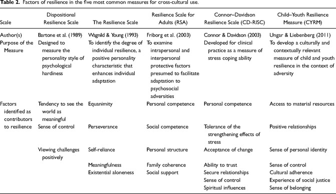 A systematic review of cross-cultural measures of resilience and its promotive and protective factors.