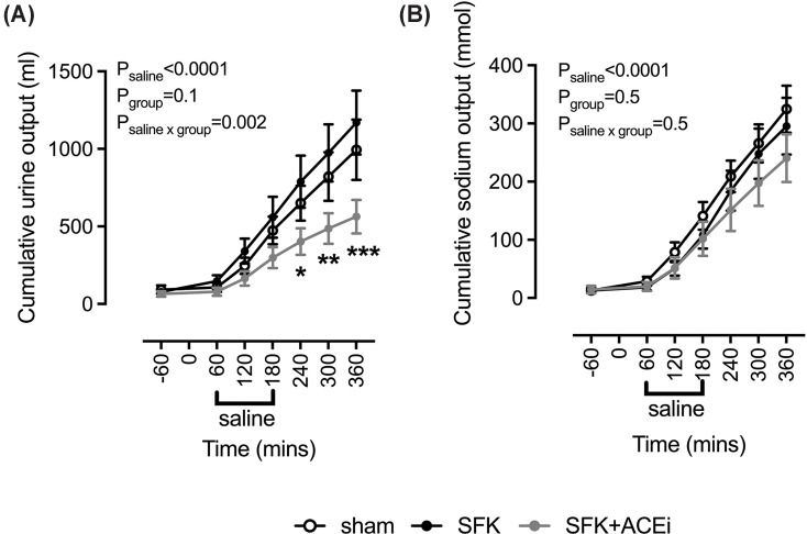 Brief early life angiotensin-converting enzyme inhibition attenuates the diuretic response to saline loading in sheep with solitary functioning kidney.