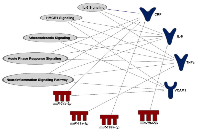 Effects of Controlled Ozone Exposure on Circulating microRNAs and Vascular and Coagulation Biomarkers: A Mediation Analysis.