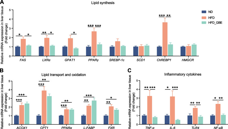 Ginkgo biloba extract alleviates fatty liver hemorrhagic syndrome in laying hens via reshaping gut microbiota.