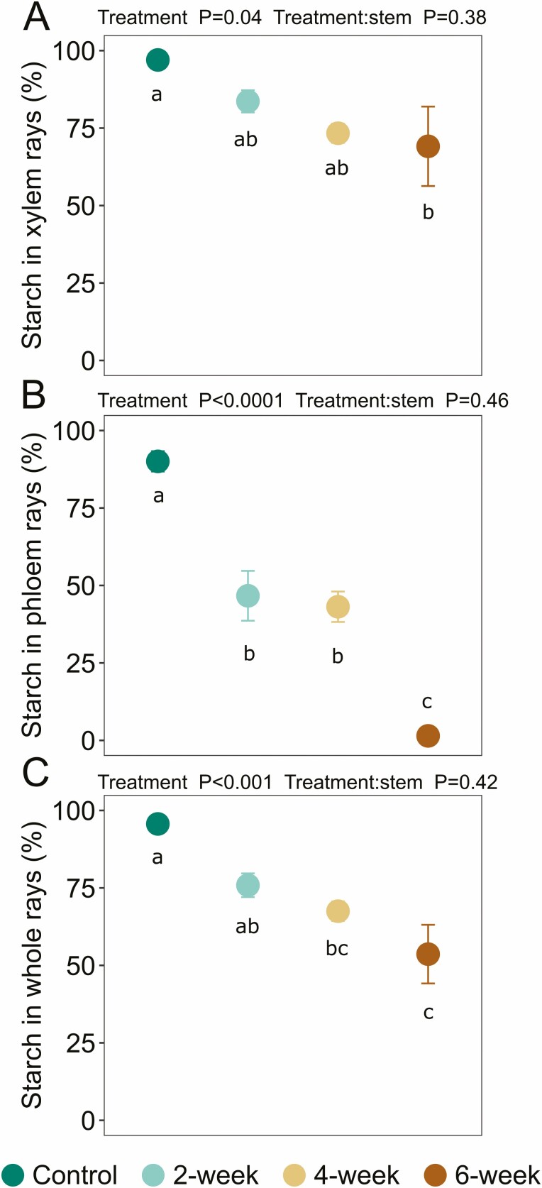 Starch depletion in the xylem and phloem ray parenchyma of grapevine stems under drought.