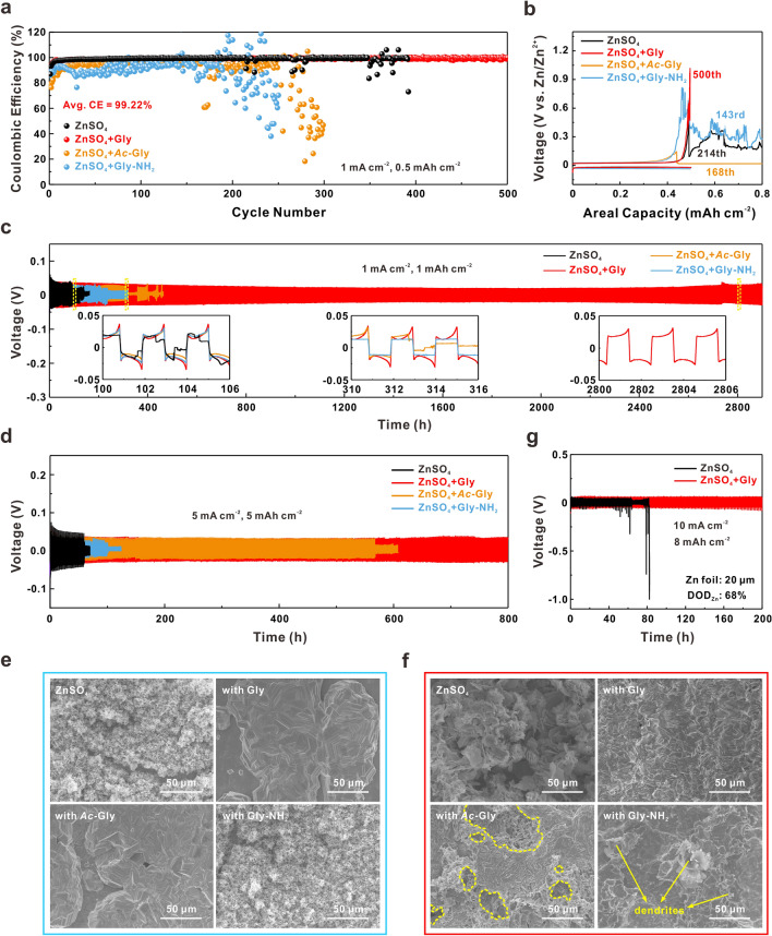 Synergistic “Anchor-Capture” Enabled by Amino and Carboxyl for Constructing Robust Interface of Zn Anode