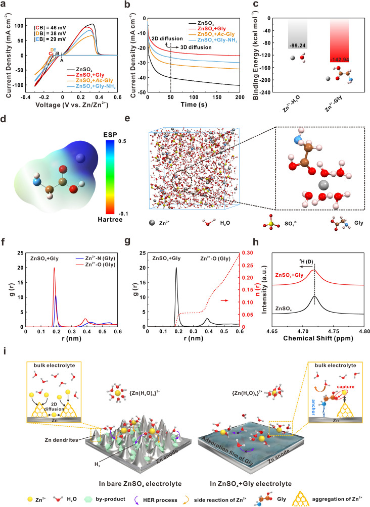 Synergistic “Anchor-Capture” Enabled by Amino and Carboxyl for Constructing Robust Interface of Zn Anode