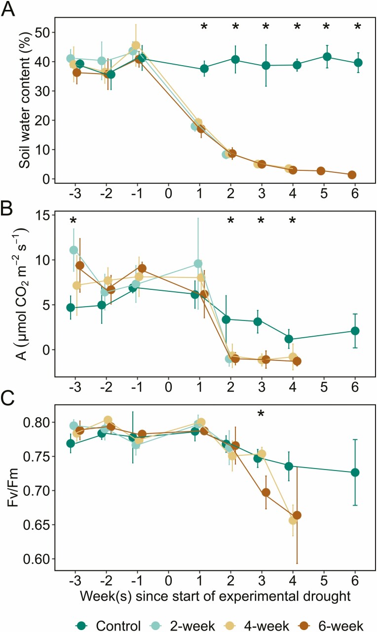 Starch depletion in the xylem and phloem ray parenchyma of grapevine stems under drought.