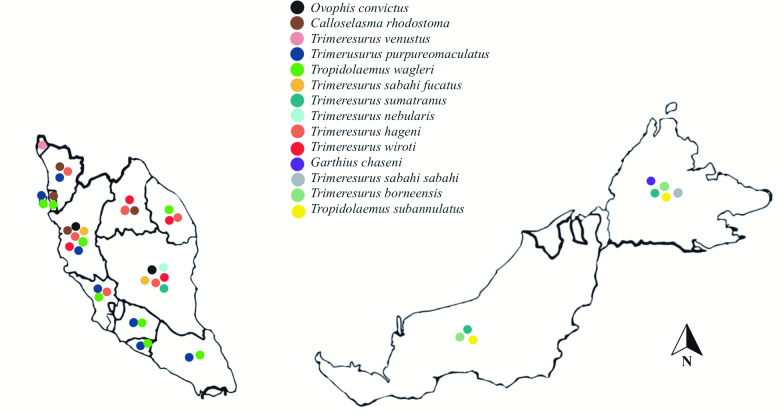 Frequency, geographical distribution and outcomes of pit viper bites in Malaysia consulted to Remote Envenomation Consultancy Services (RECS) from 2017 to 2020.