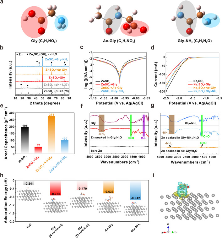 Synergistic “Anchor-Capture” Enabled by Amino and Carboxyl for Constructing Robust Interface of Zn Anode