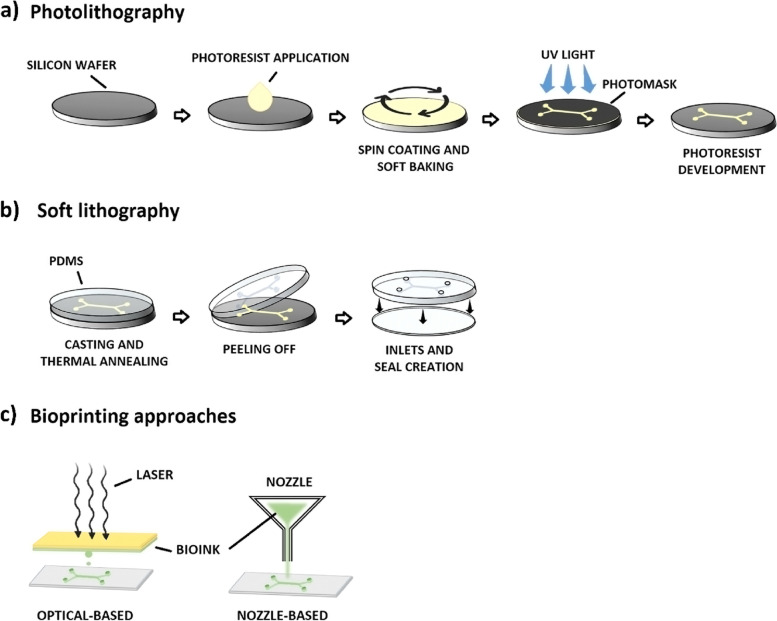 Cancer-on-chip: a 3D model for the study of the tumor microenvironment.