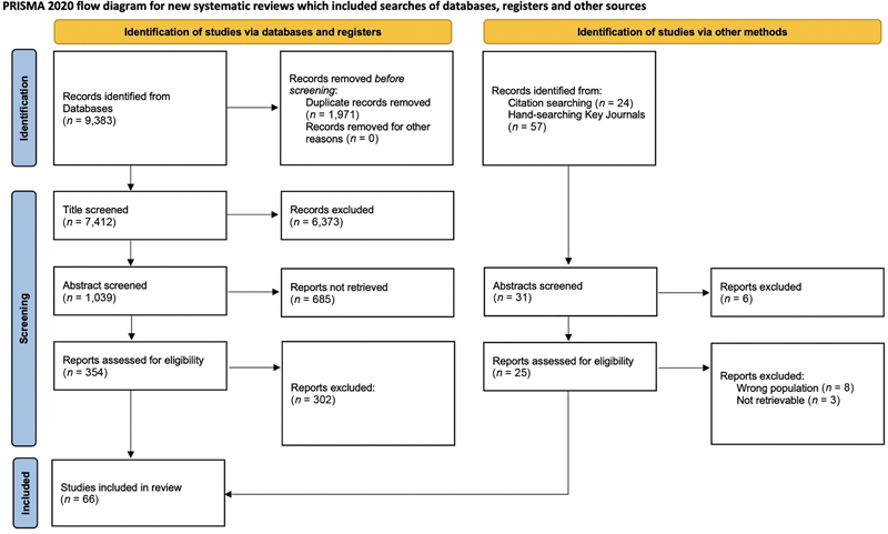 Current Perspectives in Vaginal Laxity Measurement: A Scoping Review.