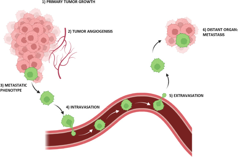 Cancer-on-chip: a 3D model for the study of the tumor microenvironment.