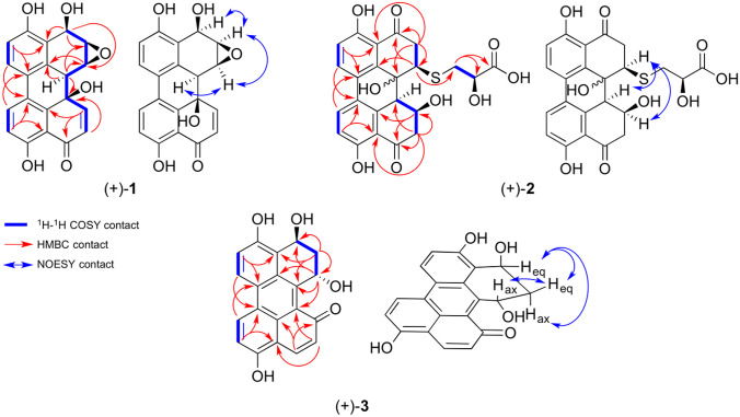 Structure elucidation and biological activities of perylenequinones from an Alternaria species.