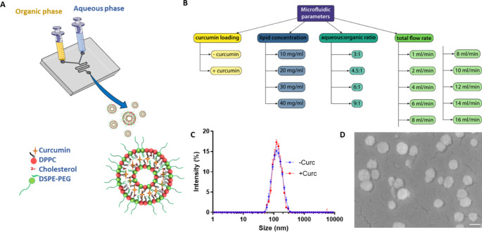 Machine learning instructed microfluidic synthesis of curcumin-loaded liposomes