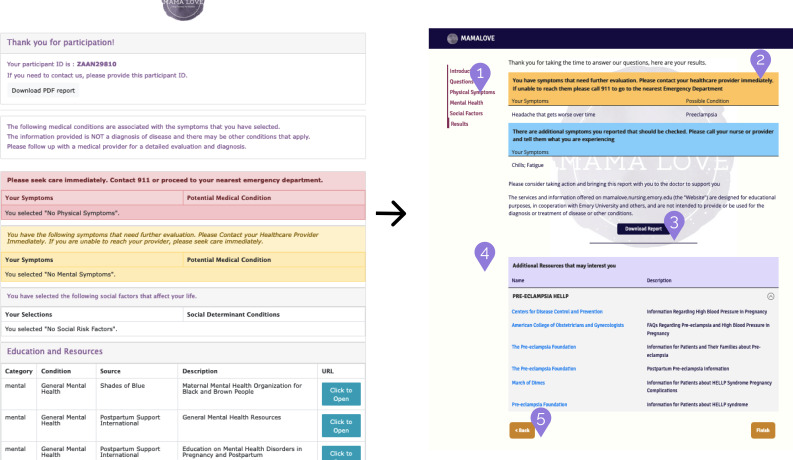 A Web-Based Intervention to Address Risk Factors for Maternal Morbidity and Mortality (MAMA LOVE): Development and Evaluation Study.