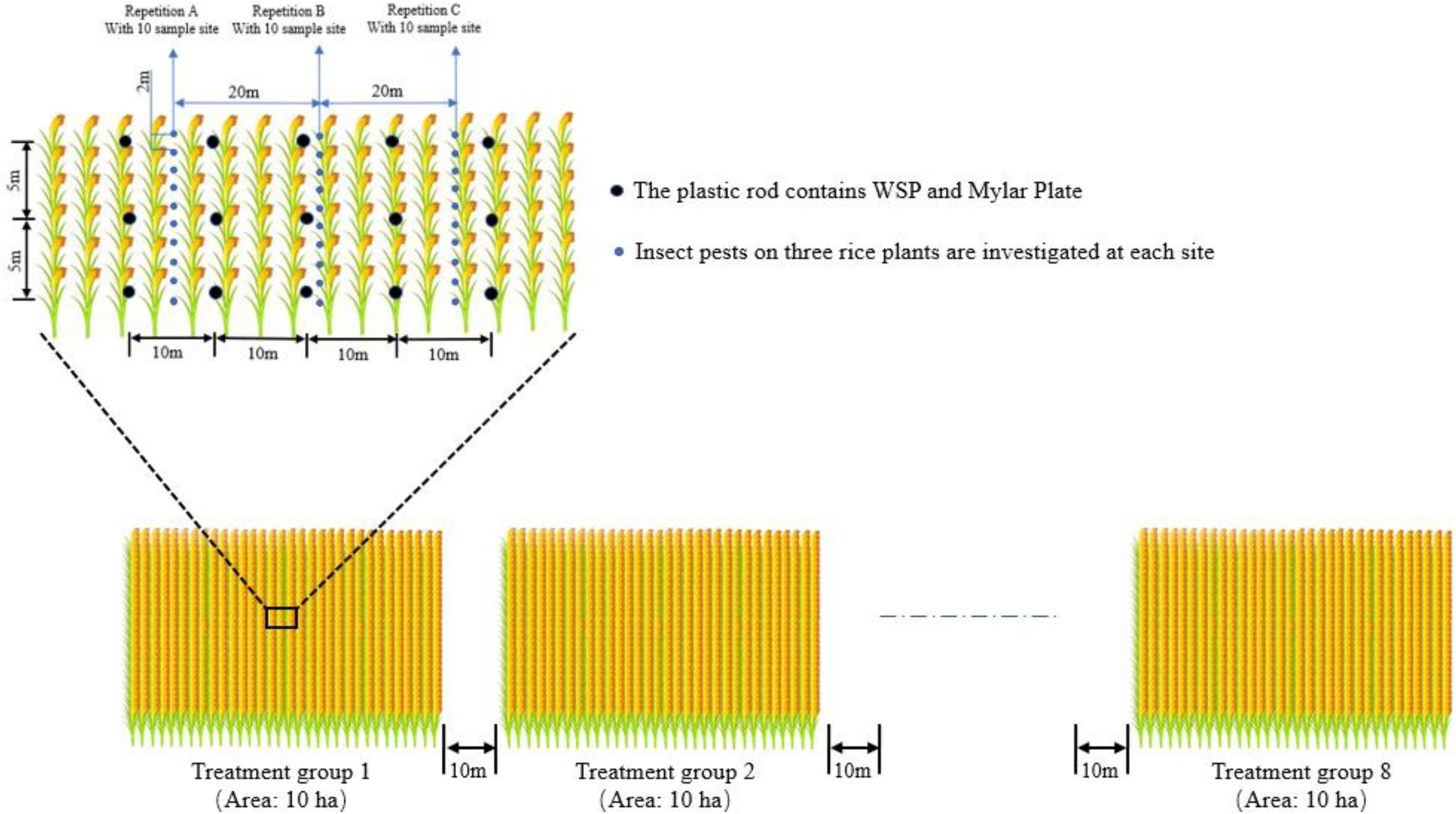 Evaluation of the droplet deposition and control effect of a special adjuvant for unmanned aerial vehicle (UAV) sprayers.