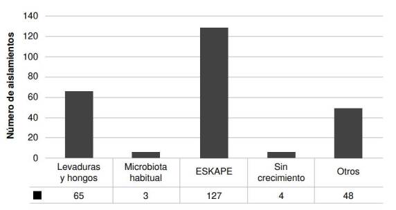 Description of the colonizing mycobiota of endotracheal tubes from patients admitted to two intensive care units in Bogotá, Colombia