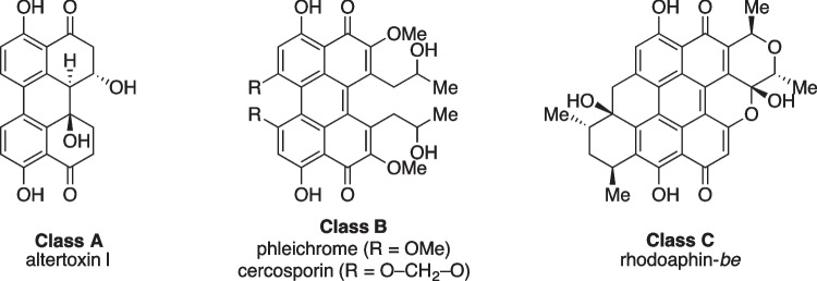 Structure elucidation and biological activities of perylenequinones from an Alternaria species.