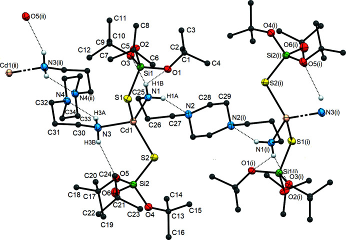 Solvent influence on the crystal structures of new cadmium tri-tert-butoxysilanethiolate complexes with 1,4-bis(3-aminopropyl)piperazine: luminescence and antifungal activity.