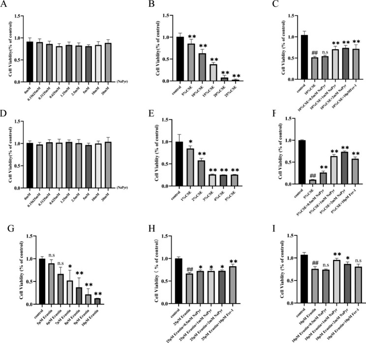 Sodium pyruvate exerts protective effects against cigarette smoke extract-induced ferroptosis in alveolar and bronchial epithelial cells through the GPX4/Nrf2 axis.