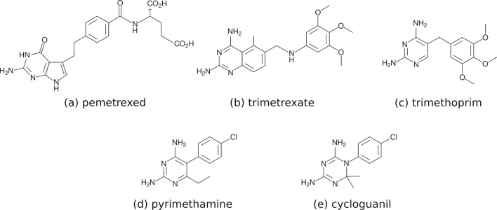 Structure and dynamics of pteridine reductase 1: the key phenomena relevant to enzyme function and drug design