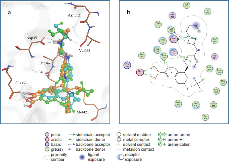 SCR-6852, an oral and highly brain-penetrating estrogen receptor degrader (SERD), effectively shrinks tumors both in intracranial and subcutaneous ER + breast cancer models.