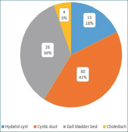 Efficacy and safety of endoscopic retrograde cholangiopancreatography with endoscopic sphincterotomy and biliary stenting in post-operative bile leaks.