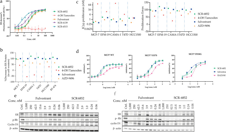 SCR-6852, an oral and highly brain-penetrating estrogen receptor degrader (SERD), effectively shrinks tumors both in intracranial and subcutaneous ER + breast cancer models.