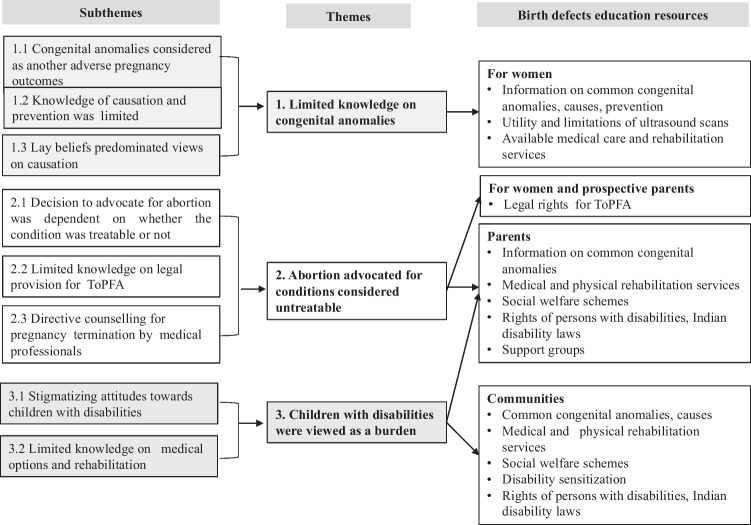 "Fruits of our past karma": a qualitative study on knowledge and attitudes about congenital anomalies among women in Pune district, India.