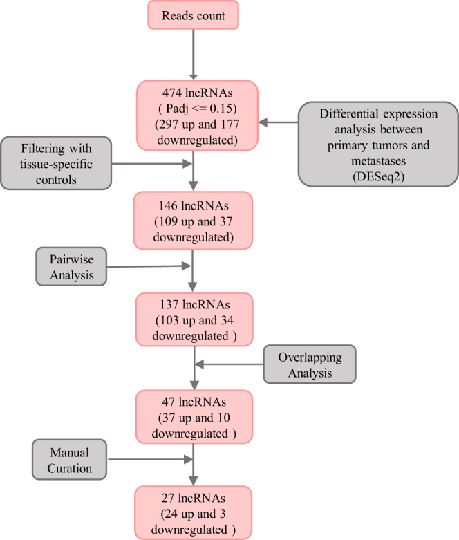 Identification of long noncoding RNAs with aberrant expression in prostate cancer metastases.