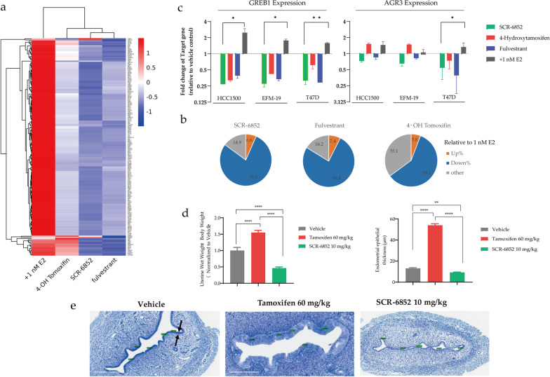 SCR-6852, an oral and highly brain-penetrating estrogen receptor degrader (SERD), effectively shrinks tumors both in intracranial and subcutaneous ER + breast cancer models.