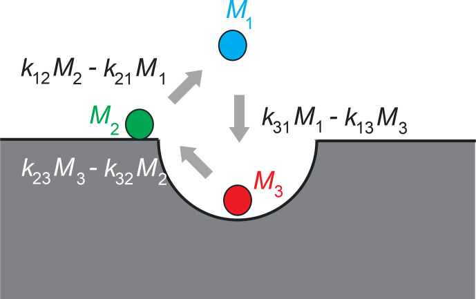 Asymmetry in three-site relaxation exchange NMR.
