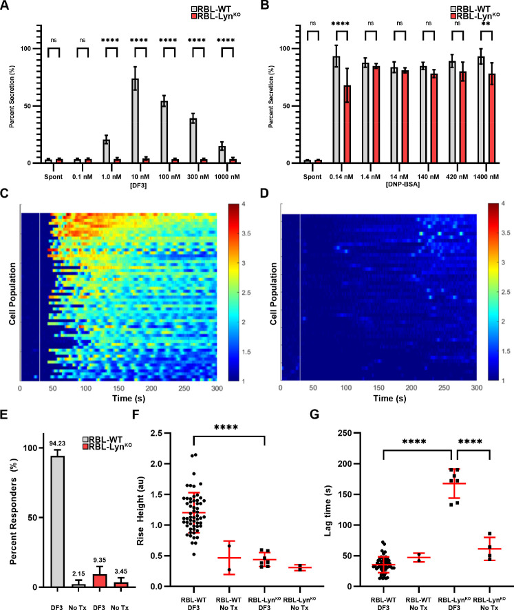 Antigen properties shape organization of FcεRI aggregates to tune mast cell signaling.