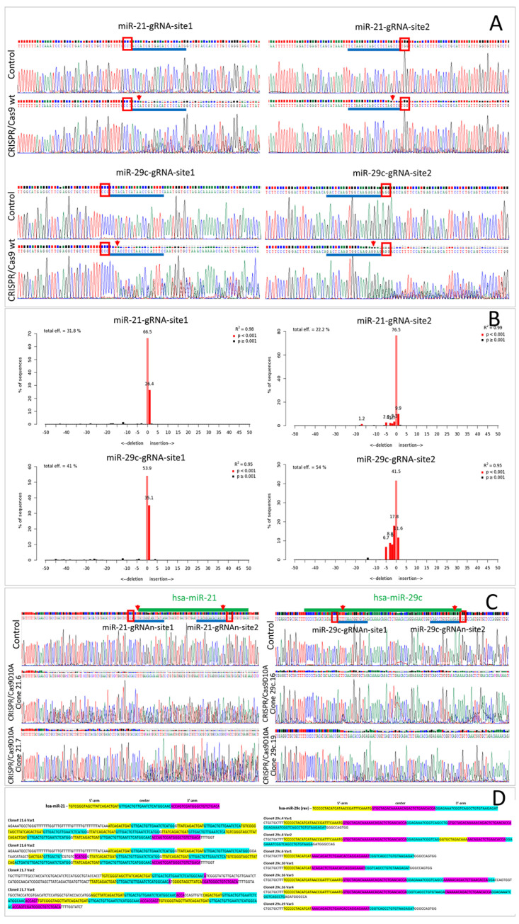 Advances and Obstacles in Using CRISPR/Cas9 Technology for Non-Coding RNA Gene Knockout in Human Mesenchymal Stromal Cells.