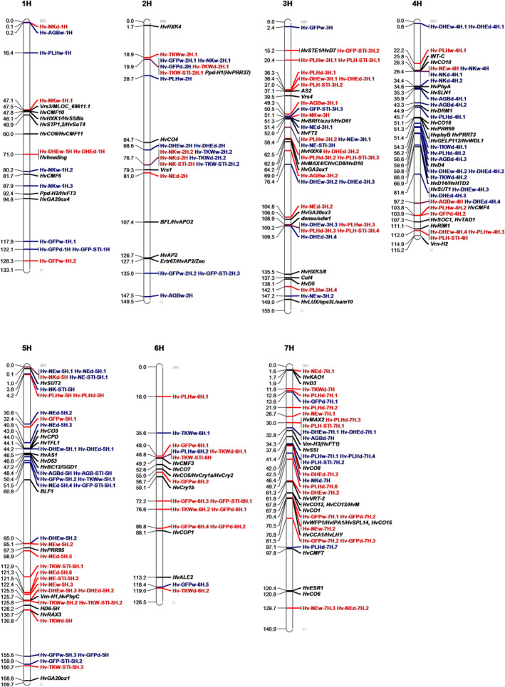 Identifying developmental QTL alleles with favorable effect on grain yield components under late-terminal drought in spring barley MAGIC population.