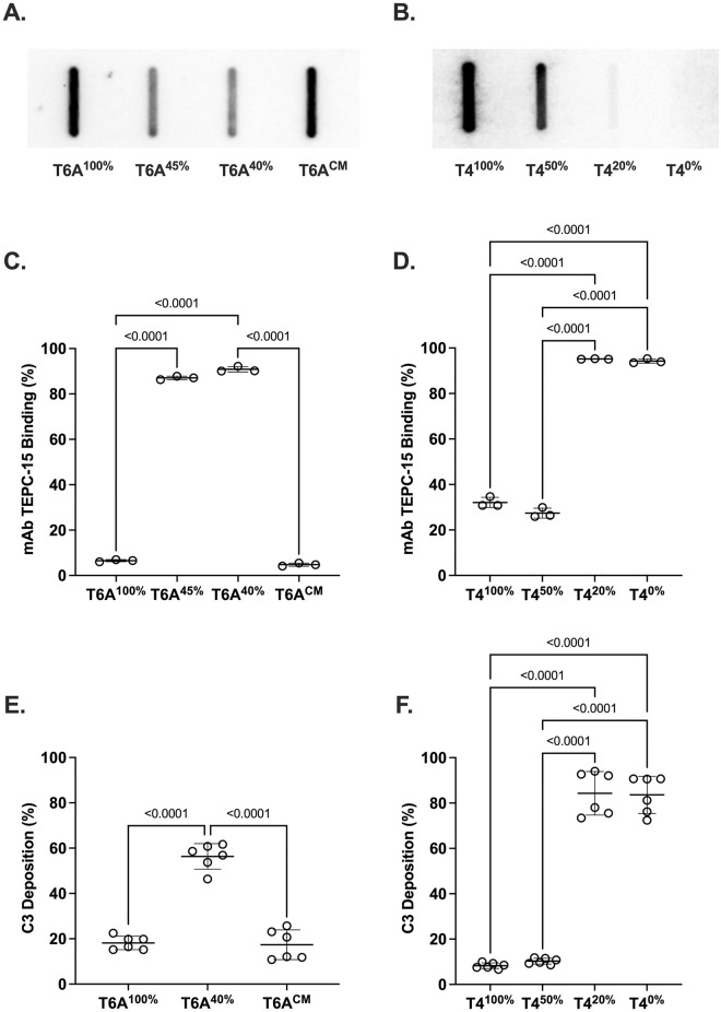 Effects of Capsular Polysaccharide amount on Pneumococcal-Host interactions.